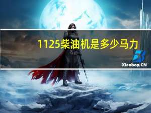 1125柴油机是多少马力