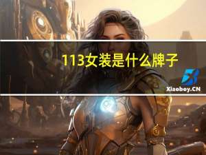 113女装是什么牌子