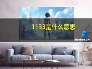 1133是什么意思