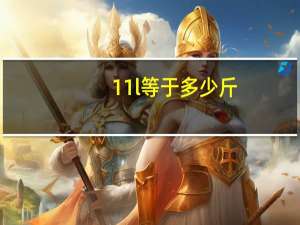11l等于多少斤