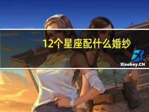 12个星座配什么婚纱
