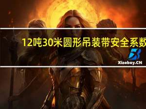 12吨 30米圆形吊装带安全系数