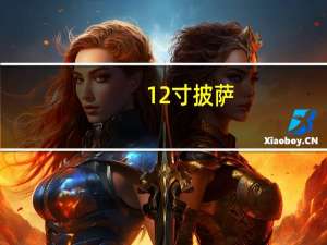 12寸披萨（12寸）