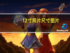 12寸照片尺寸图片（12寸照片尺寸）