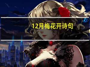12月梅花开诗句