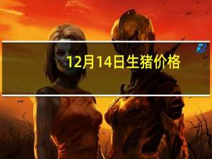 12月14日生猪价格（12月14日）