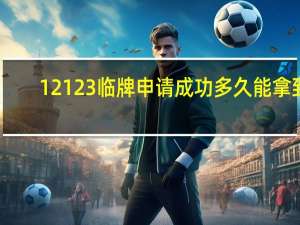 12123临牌申请成功多久能拿到