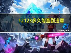 12123多久能查到违章