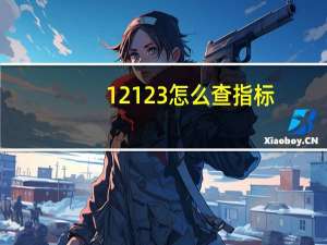 12123怎么查指标