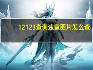 12123查询违章图片怎么查（123123交通违章查询）