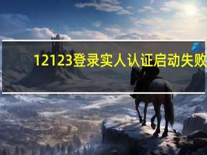 12123登录实人认证启动失败