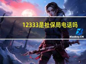 12333是社保局电话吗