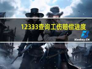 12333查询工伤赔偿进度