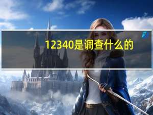 12340是调查什么的