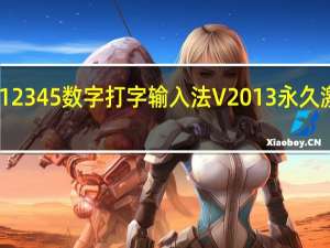 12345数字打字输入法 V2013 永久激活版（12345数字打字输入法 V2013 永久激活版功能简介）