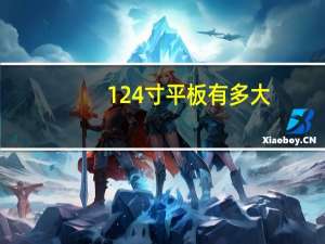 124寸平板有多大