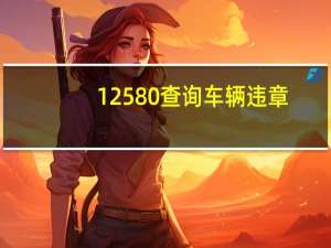 12580查询车辆违章（1258）
