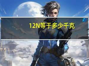 12N等于多少千克