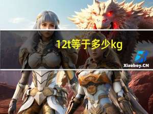 12t等于多少kg