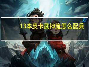 13本皮卡武神流怎么配兵