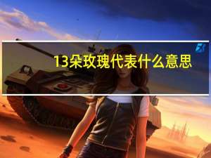 13朵玫瑰代表什么意思