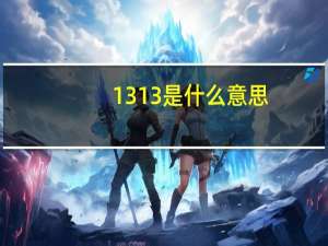 1313是什么意思