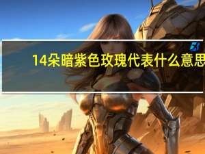 14朵暗紫色玫瑰代表什么意思