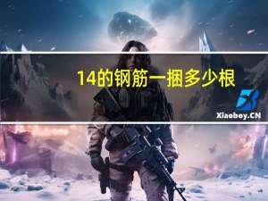 14的钢筋一捆多少根