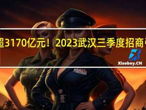 144个项目签约超3170亿元！2023武汉三季度招商引资项目签约大会举行