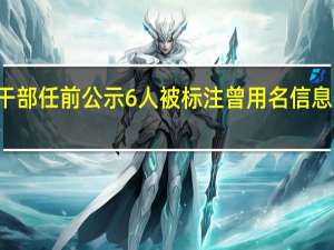 15名干部任前公示 6人被标注曾用名 信息公开引热议