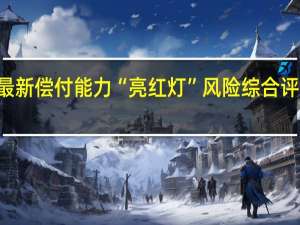 15家险企最新偿付能力“亮红灯”风险综合评级不达标是主因