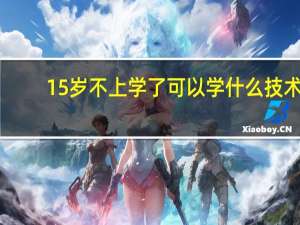 15岁不上学了可以学什么技术