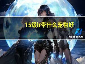 15级lr带什么宠物好