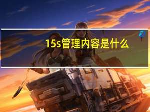 15s管理内容是什么