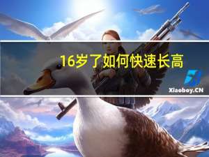 16岁了如何快速长高（16岁怎样长高最快）