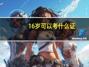 16岁可以考什么证