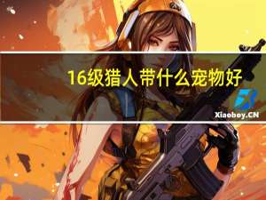 16级猎人带什么宠物好