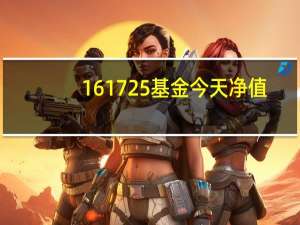 161725基金今天净值（001236基金今天净值）