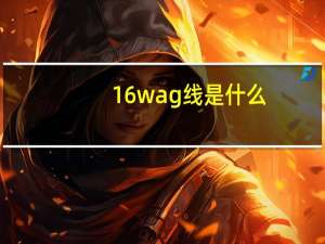 16wag线是什么