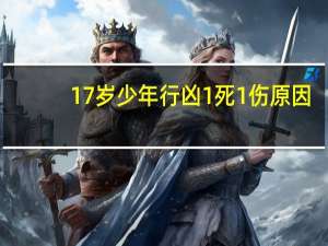 17岁少年行凶1死1伤原因（17岁少年行凶1死1伤）