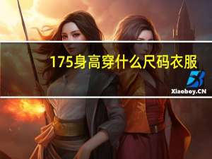 175身高穿什么尺码衣服