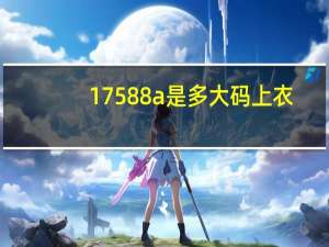 17588a是多大码上衣