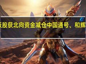 189只科创板股获北向资金减仓中国通号、和辉光电等减持量居前