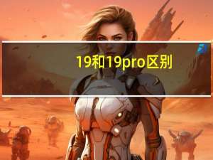 1 9和1 9pro区别