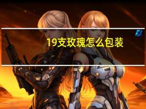 19支玫瑰怎么包装
