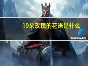19朵玫瑰的花语是什么