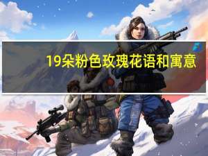 19朵粉色玫瑰花语和寓意