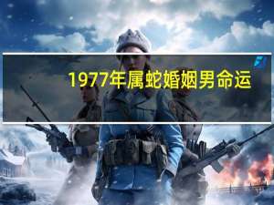1977年属蛇婚姻男命运