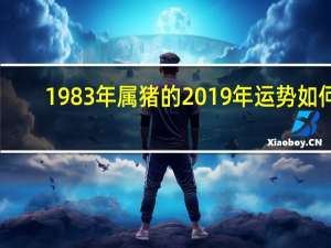 1983年属猪的2019年运势如何（1983年属猪的2019年运势）