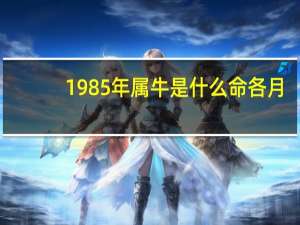 1985年属牛是什么命各月（1985年属牛是什么命）